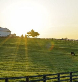 Kentucky