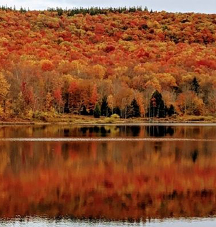 West Virginia
